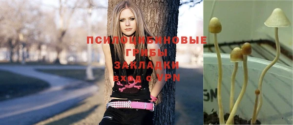 Альфа ПВП Арсеньев