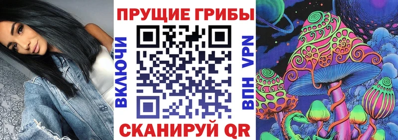 Галлюциногенные грибы Psilocybe  мега как зайти  Усть-Кут 